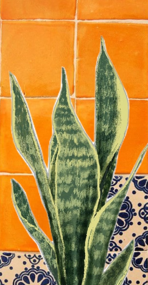 Planta diante de azulejos coloridos